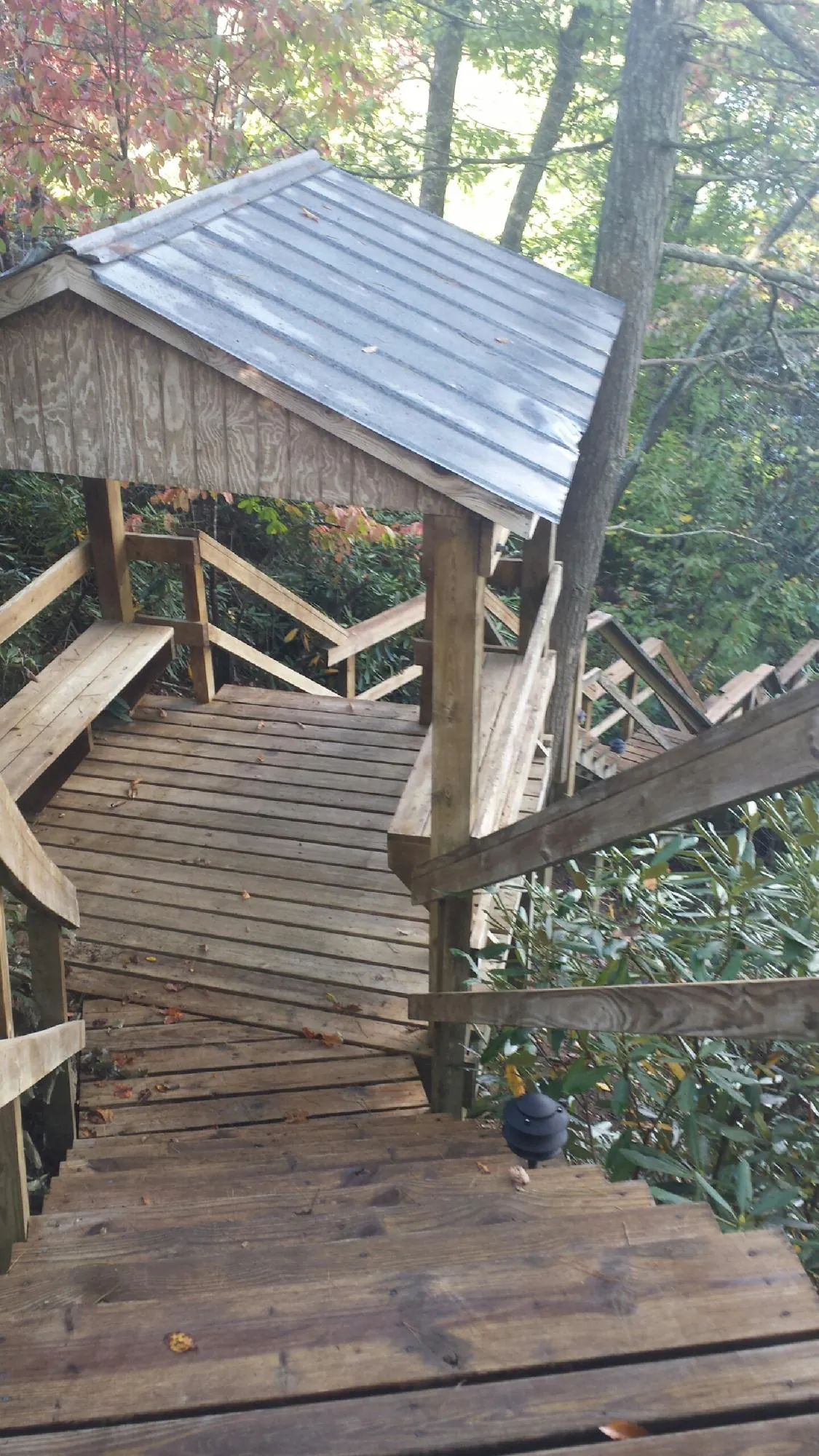 Metal roofed shelter over wooden steps on a wooded walkway — Skylight Repair & Installation work by our crew in Rosemount